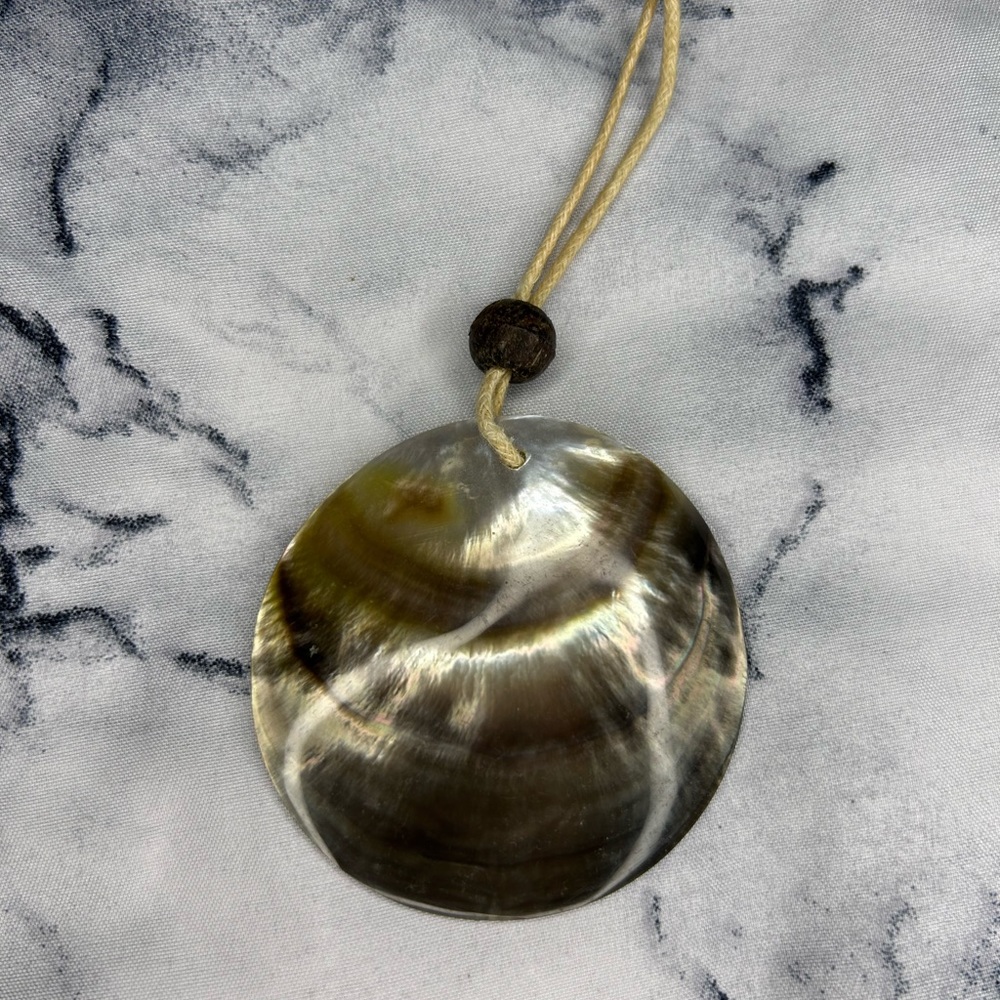 Natural Abalone necklace on cord